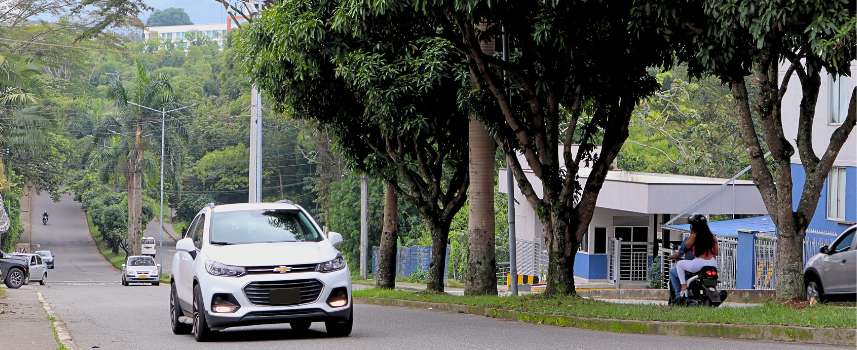 Consejo de Estado falló a favor de la protección y cuidado del ambiente sano en el Quindío