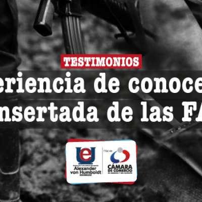 Testimonios: Un encuentro con una re-insertada de las FARC